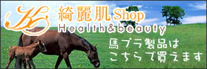 nvZ^i̍wY픧Shop